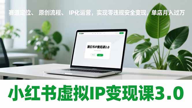 (17029期)小红书虚拟IP变现课3.0,赛道定位、原创流程、IP化运营,实现零违规安全变现,单店月入过万-苏武资源网
