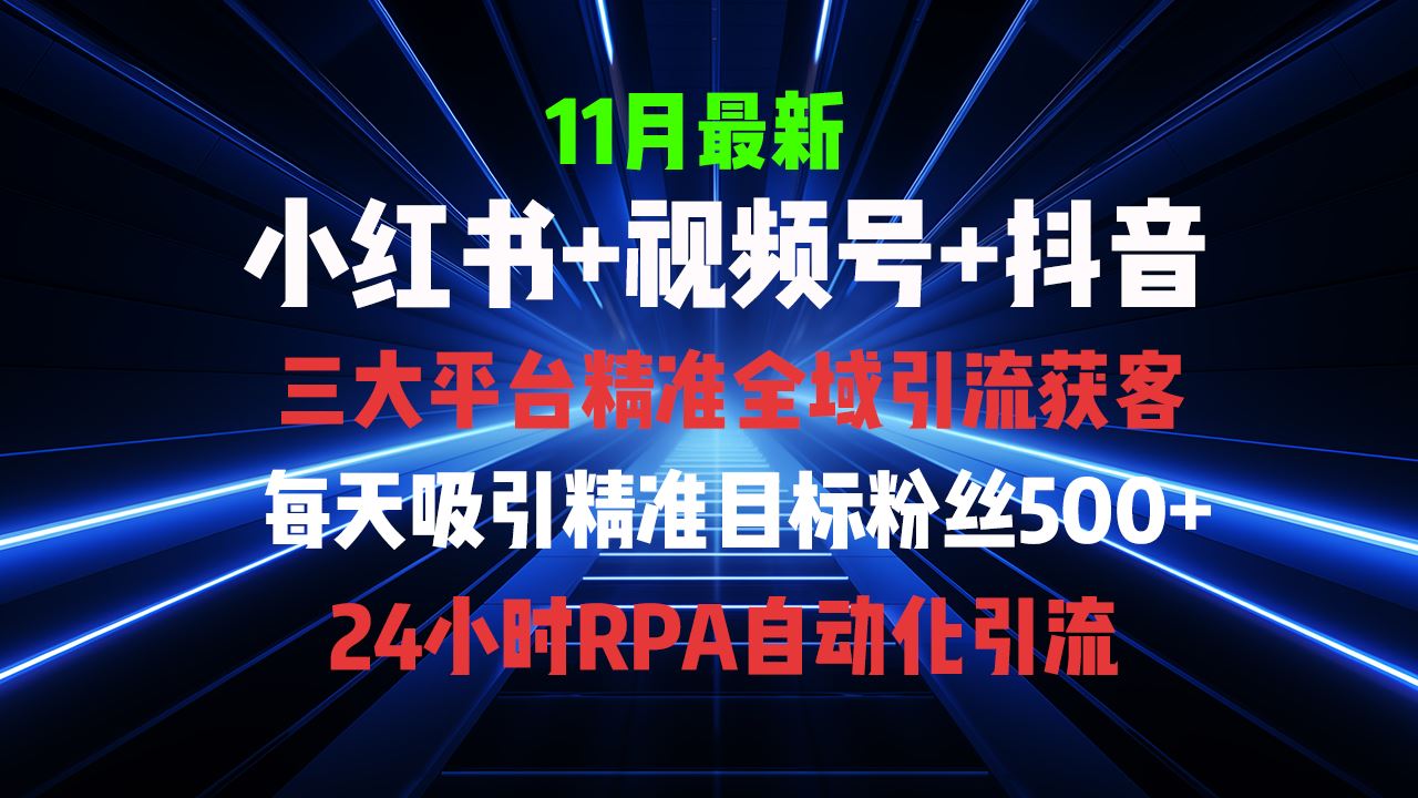 （13259期）全域多平台引流私域打法，小红书，视频号，抖音全自动获客，截流自…-大海创业网