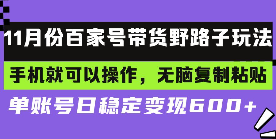 （13281期）百家号带货野路子玩法 手机就可以操作，无脑复制粘贴 单账号日稳定变现…-大海创业网