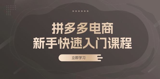 （13289期）拼多多电商新手快速入门课程：涵盖基础、实战与选款，助力小白轻松上手-大海创业网