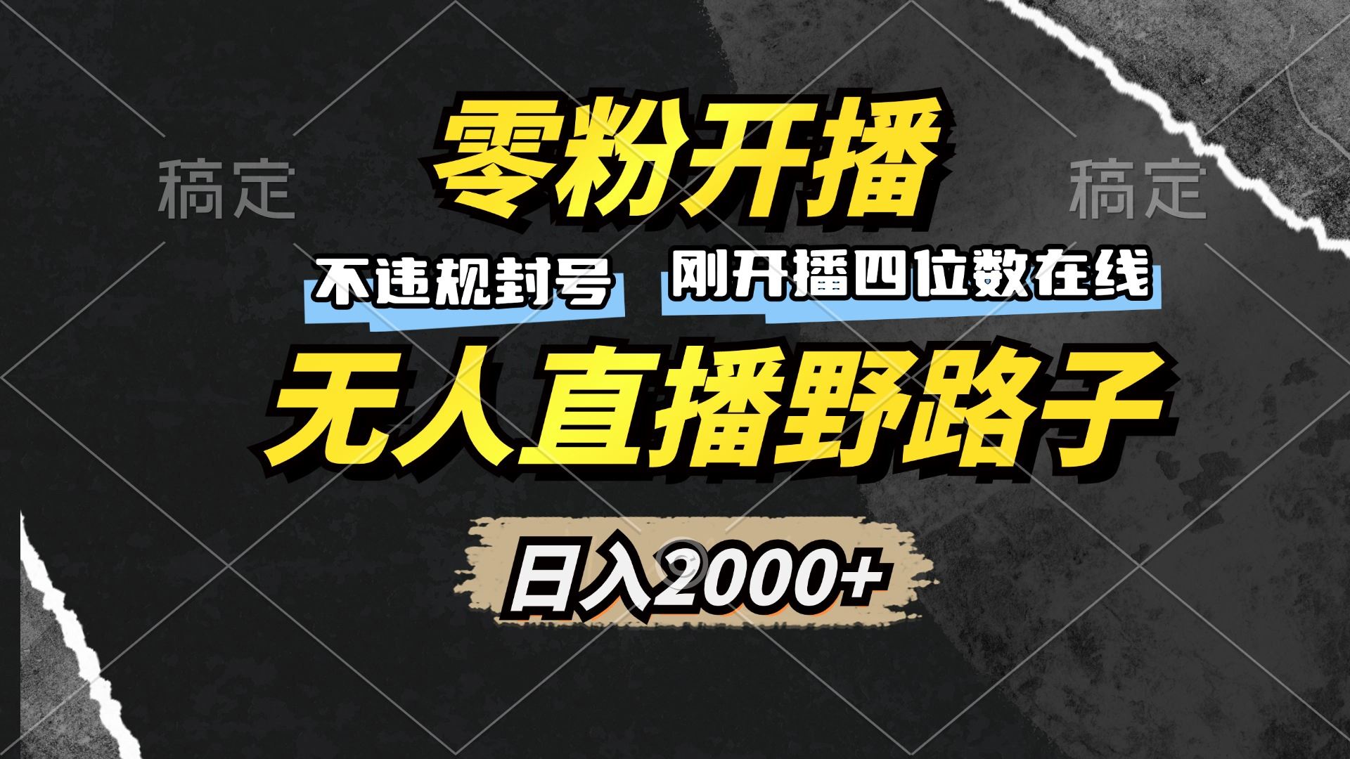 （13292期）零粉开播，无人直播野路子，日入2000+，不违规封号，躺赚收益！-大海创业网