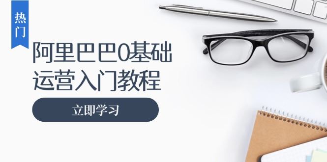 （13291期）阿里巴巴运营零基础入门教程：涵盖开店、运营、推广，快速成为电商高手-大海创业网