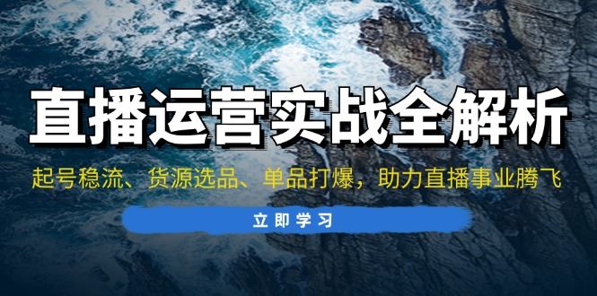 （13294期）直播运营实战全解析：起号稳流、货源选品、单品打爆，助力直播事业腾飞-大海创业网