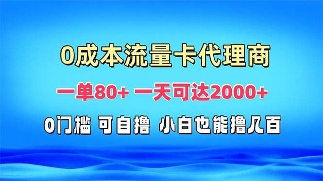 （13391期）免费流量卡代理一单80+ 一天可达2000+-大海创业网