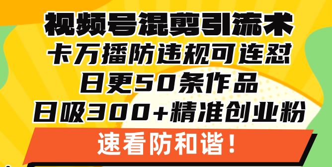 （13400期）视频号混剪引流技术，500万播放引流17000创业粉，操作简单当天学会-大海创业网