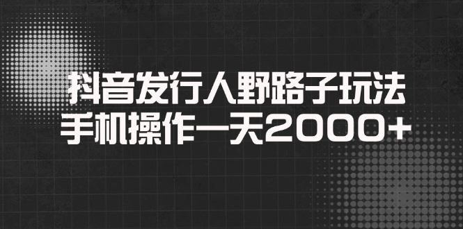 （14068期）抖音发行人野路子玩法，手机操作一天2000+-大海创业网