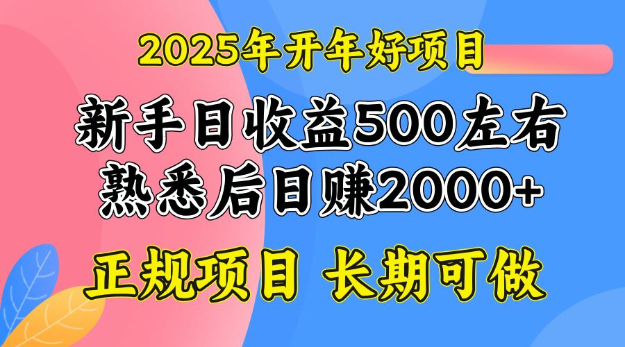 （14076期）2025开年好项目，单号日收益2000左右-富业网创