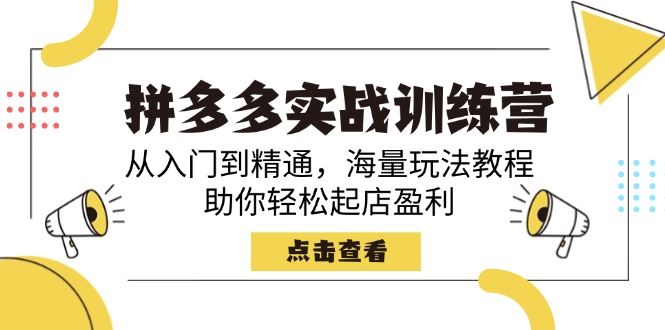 （14392期）拼多多实战训练营，从入门到精通，海量玩法教程，助你轻松起店盈利-富业网创