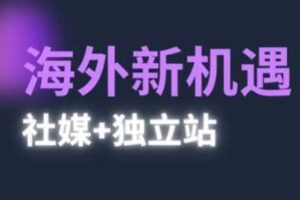 2025出海新机遇(社媒+独立站)，海外新机遇，实现独立站的高效运营与出海