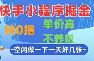 快手小程序掘金，纯0撸，单价高不养机 利用空闲时间做一做，一天好几张【揭秘】