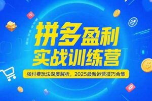 （15183期）拼多多盈利实战训练营，强付费玩法深度解析，2025运营技巧合集-更新6月