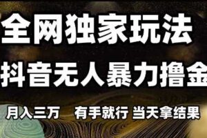 全网独家玩法抖音无人暴力撸金，月入3W，有手就行，当天拿结果【揭秘】