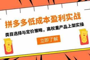 拼多多低成本盈利实战，类目选择与定价策略，高权重产品上架实操
