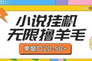 最新小说挂G自撸玩法本人实操单窗口20-50+可矩阵放大操作【揭秘】