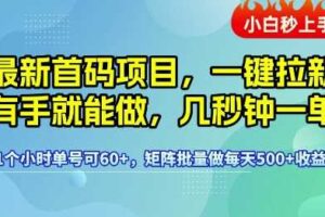 最新首码项目，一键拉新有手就能做，几秒钟一单，1个小时单号可60+，矩阵批量做每天5张【揭秘】