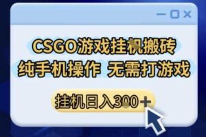 CSGO游戏挂G搬砖，小白纯手机即可操作，不用电脑打游戏，日入3张+，副业网创项目【揭秘】
