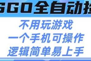 CSGO自动捡漏项目，最新独家玩法，不用挂G不用玩游戏，一个手机即可操作，新手小白轻松月入1W+【揭秘】
