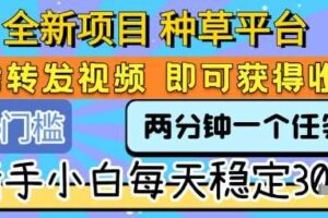 全新项目 种草平台 只需要转发任务视频 即可获得收益 新手小白每天稳定3张+【揭秘】