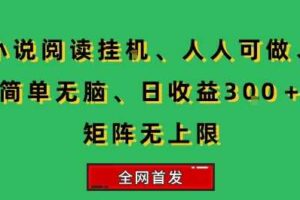 小说挂G阅读，人人可做，简单无脑，一天收益3张+矩阵无限上，全网首发【揭秘】