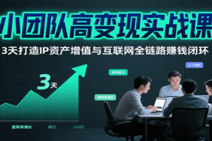 小团队高变现实战课，3天打造IP资产增值与互联网全链路赚钱闭环（第二期）