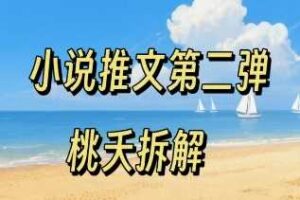 小说推文项目操作全流程第二弹，0粉就能做，门槛低非常适合新手