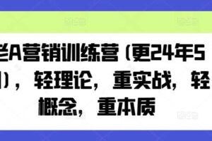 老A营销训练营(更25年10月)，轻理论，重实战，轻概念，重本质