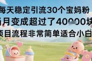 每天稳定引流30个宝妈粉当月变成超过了1W+项目流程非常简单适合小白