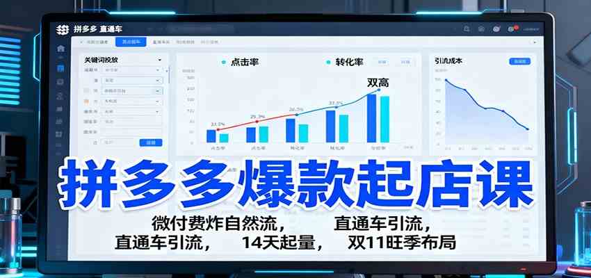 拼多多爆款起店课:微付费炸自然流,直通车引流,14天起量,双11旺季布局-万力资源网_专注分享网络赚钱副业项目-创业项目分享