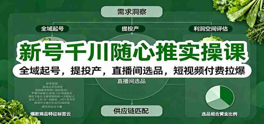 新号千川随心推实操课:全域起号,提投产,直播间选品,短视频付费拉爆-万力资源网_专注分享网络赚钱副业项目-创业项目分享