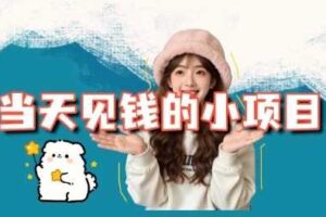 当天能收益的3个小项目拆解_包括平台+操作流程