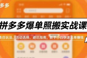 (16838期)拼多多爆单照搬实战课,类目玩法、活动选择、避坑指南,新手小白快速出单赚钱