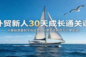 外贸新人30天成长通关课:从基础准备到平台运营,从零起步到百万订单实战