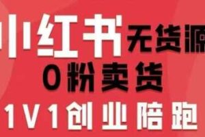 小红书无货源0粉电商课,开店准备、选品策略、笔记撰写、视频剪辑、数据分析、账号打造、资料文档(更新26年5月11日)