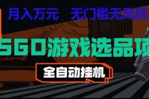 CSGO游戏自动扫货项目，全自动运行，月入1W，无风险，长期稳定可以做【揭秘】