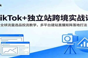 TikTok+独立站跨境实战课：全球流量选品投流教学，多平台建站直播矩阵落地打法