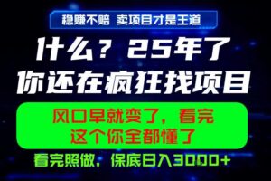 26年，请不要疯狂的找项目做了！卖项目才是真的稳賺不赔，看完照做，保底日入1k+【揭秘】
