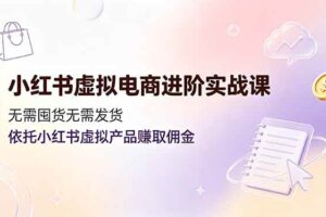 (19151期)小红书虚拟电商进阶实战课,无需囤货无需发货,依托小红书虚拟产品赚取佣金