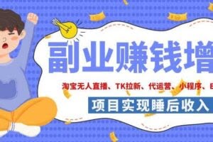 2026年多个真实落地副业项目，手把手带你搭建被动收入管道（淘宝无人直播、海外TK拉新、CSGO饰品交易、去水印小程序等）【揭秘】