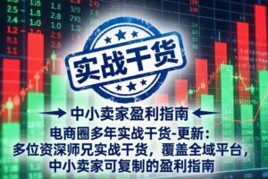 （19761期）电商圈多年实战干货-更新2026：多位资深师兄实战干货/覆盖全域平台，中小卖家可复制的盈利指南