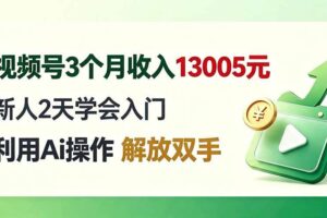 （19807期）视频号3个月收入13005元， 新人2天学会入门， 利用Ai操作 解放双手！