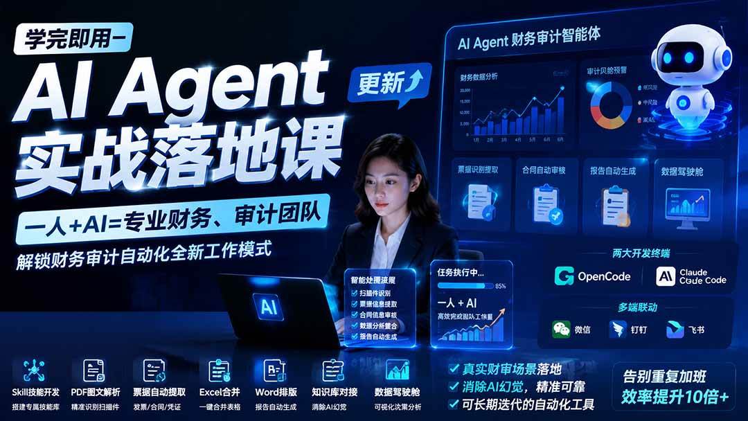 （19740期）学完即用—AI Agent实战落地课-更新：一人+AI=专业财务、审计团队，解锁财务审计自动化全新工作模式
