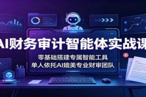 AI财务审计智能体实战课：零基础搭建专属智能工具，单人依托AI媲美专业财审团队