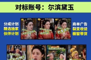 婆媳家庭AI短剧全套教学丨起号快，热门吸引女性粉丝，商单广告、橱窗带货、收徒裂变、伙伴分成等