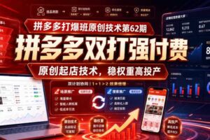 拼多多打爆班原创技术第62期,拼多多双打强付费,原创起店技术,稳权重高投产