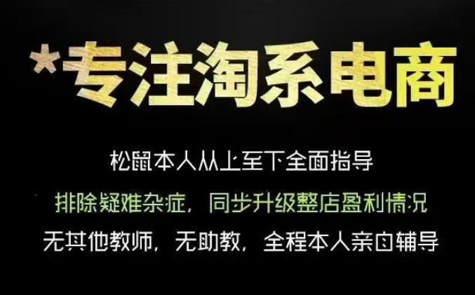 松鼠会电商VIP课程，从基础布局到高阶优化，助你掌握淘宝运营逻辑，提升店铺流量与转化（更新0809）