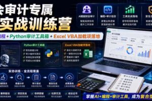 财会审计专属AI实战训练营｜AI协同编程+Python审计工具箱+Excel VBA加载项落地（更新0816）