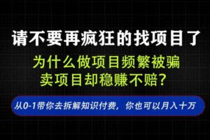 找项目？别傻了！卖项目才是真的一本万利！看完你全都懂了【揭秘】