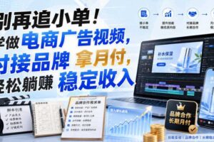 别再追小单！学做电商广告视频，对接品牌拿月付，轻松躺賺稳定收入【原创双语字幕】