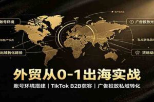 外贸从0-1出海实战：账号环境搭建，TikTok B2B获客，广告投放私域转化