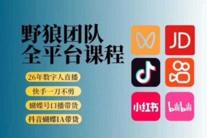 野狼团队2026新版全平台短视频带货教学，打开流量突破口，开始Ai带货（更新0903）